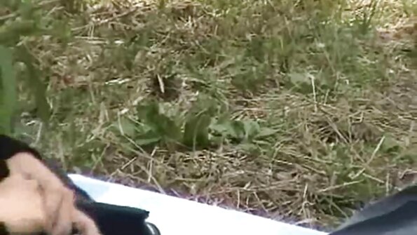 ცხელი სტუდენტი, რომელსაც უყვარს მამალი, დღეს დიდია