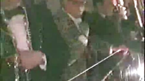 საოცარი ქერა და ძლიერი ძმაკაცი ჯუნგლებშია