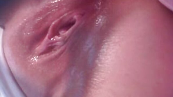 მაღალი გრძელბეწვიანი ბიმბო ფეხებს უხსნის და იძახის