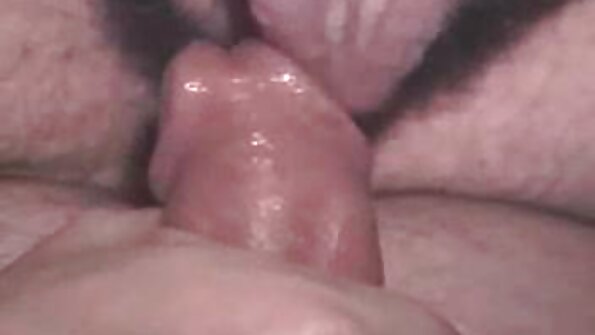 ულამაზესი გია პეიჯი არის მსოფლიო დონის მამალი